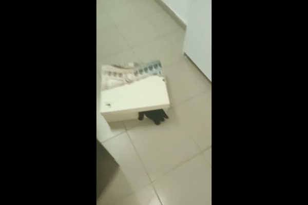 Как найти ссылку на кракен