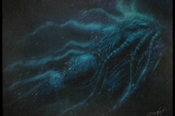 Kraken url