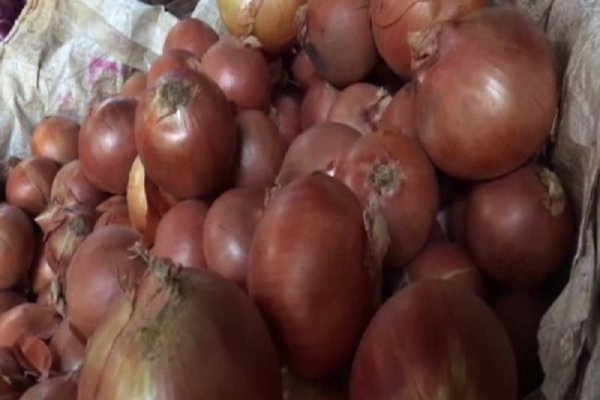 Как зайти на кракен через тор браузер