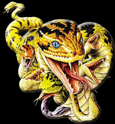 Магазин kraken даркнет